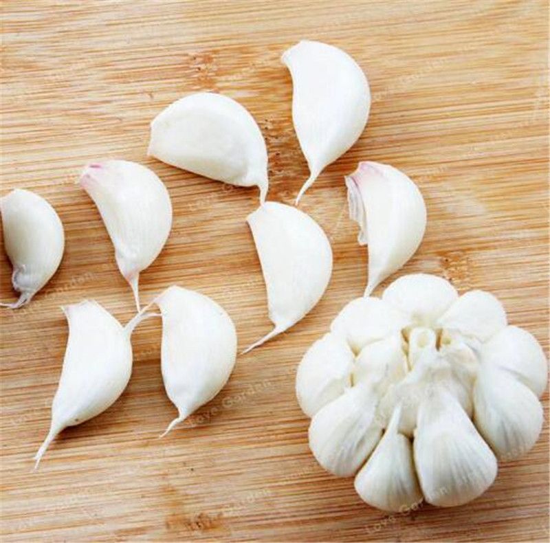 100 pcs White Garlic Seeds  natural and organic Vegetable healthy bonsai seed 