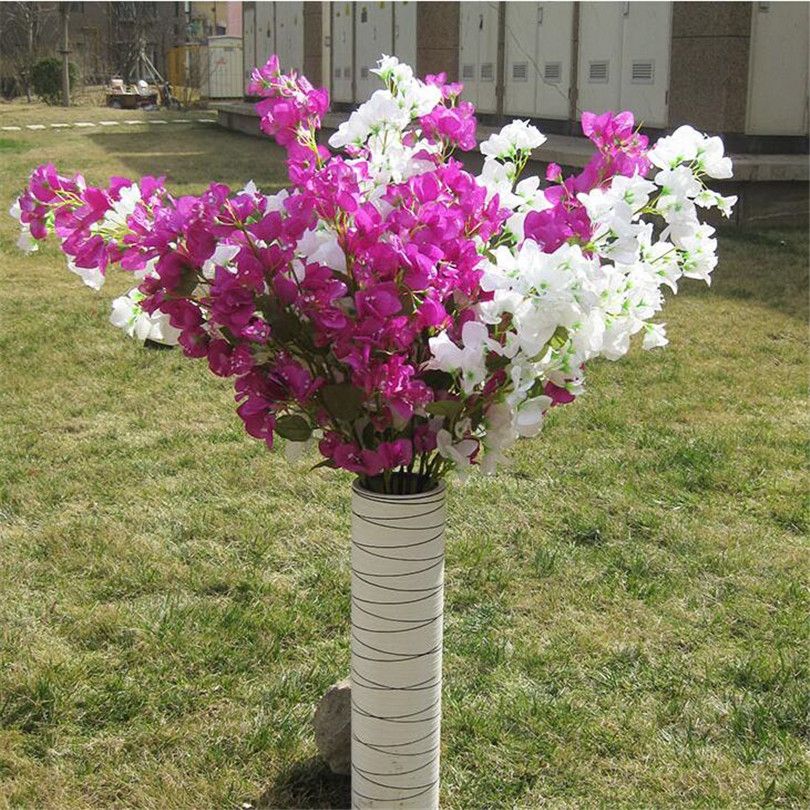 Begonvil Gelin Duvagi Rodos Sarmasigi Onbir Ay Cicegi Bouganvilla Alp Osman Bougainvillea Doga Cicek