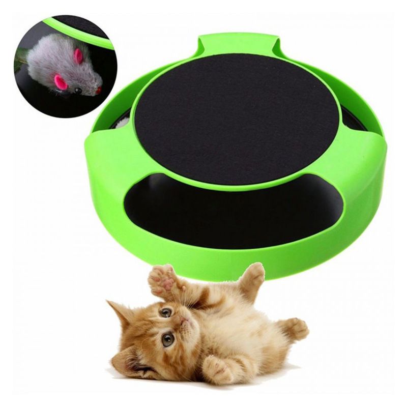 catch the mouse motion cat toy