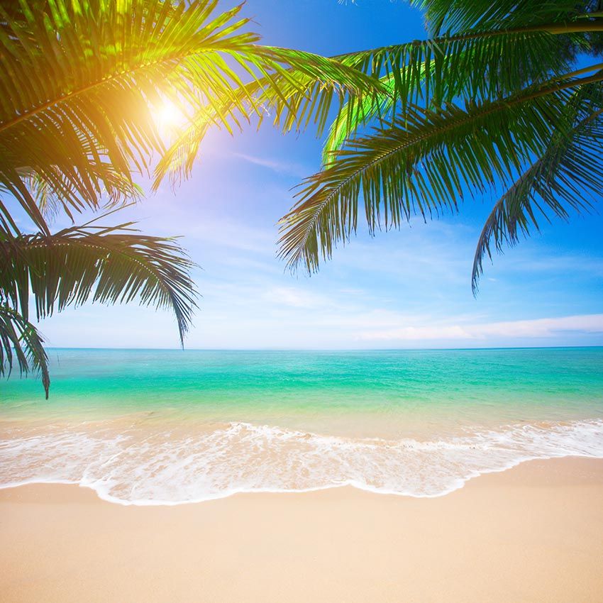 GoHeBe 10x6.5ft Vinyl Backdrop Photography Background Merry Christmas Santa Hat Tropical Beach Rock Palm Trees Island Blue Sea and Sky Scenery Background Children Portraits Backdrop Photo Studio GoHeBe 10x6.5ft Vinyl Backdrop Photography Background Merry Christmas Santa Hat Tropical Beach Rock Palm Trees Island Blue Sea and Sky Scenery Background Children Portraits Backdrop Photo Studio