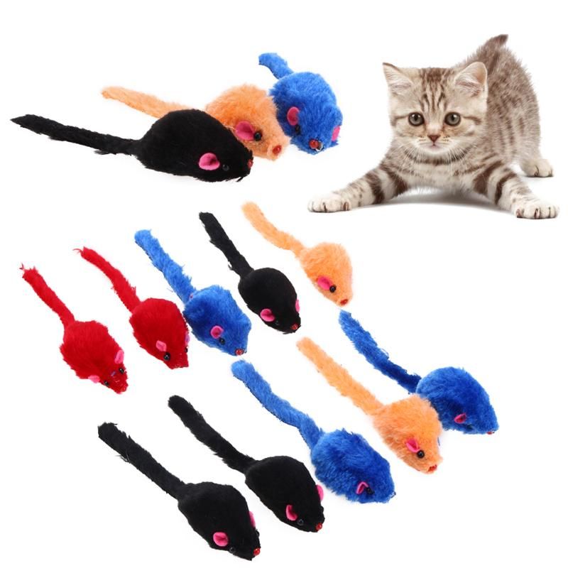 cat and mouse toy