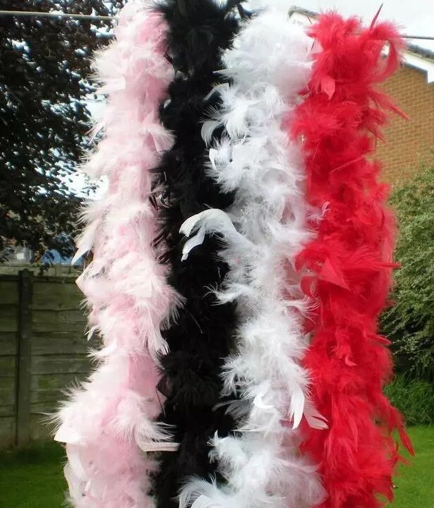 Healifty Turkey Feather Boa Party Feather Boa Christmas Halloween Fancy Dress Costume Accessory Healifty Turkey Feather Boa Party Feather Boa Christmas Halloween Fancy Dress Costume Accessory
