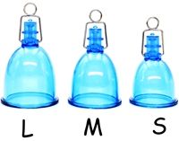 L + m + s