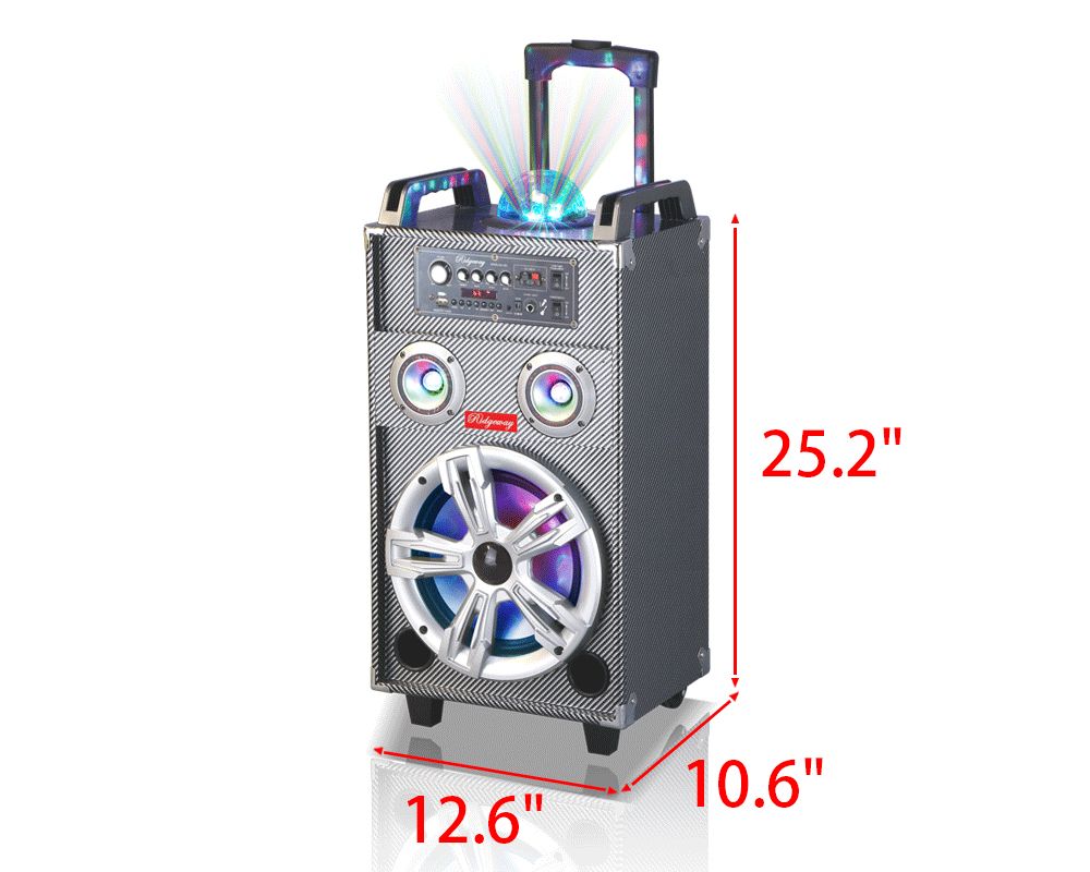 ridgeway karaoke machine