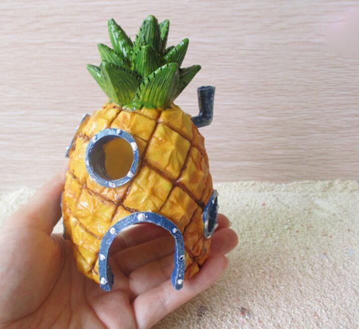 fish tank pineapple