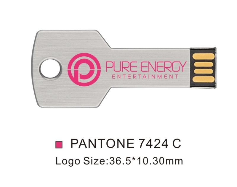Custom Logo Texts Credit Card USB Flash Drive Bulk Pack 4GB X 50PCS
