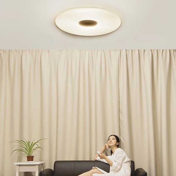2019 Original Xiaomi Philips Led Ceiling Light Lamp Dust Resistance Via App Remote Control Wireless Dimming Lights Indoor Lighting From Brainlighting