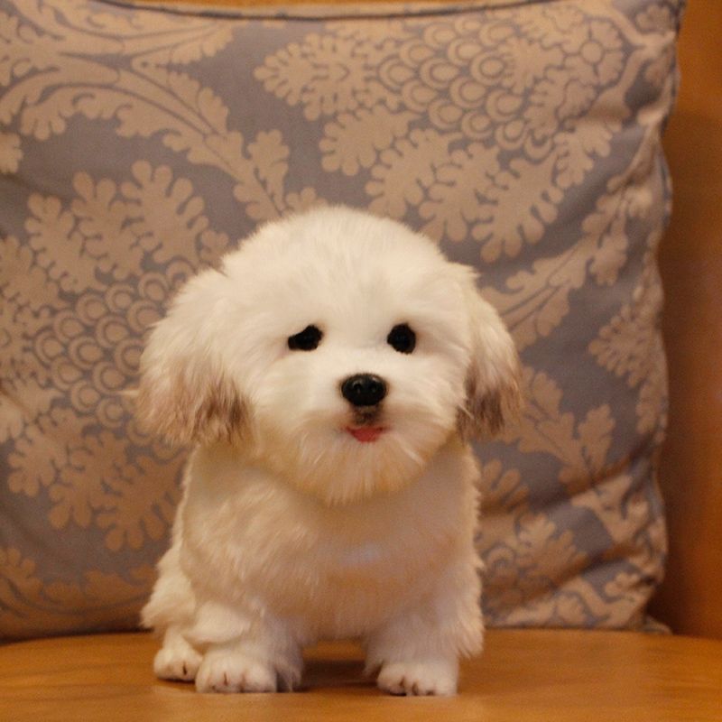 new Cute Animal Maltese Dog Plush Doll Mini Soft Pet Animals Dog Gift 27x12x22cm 