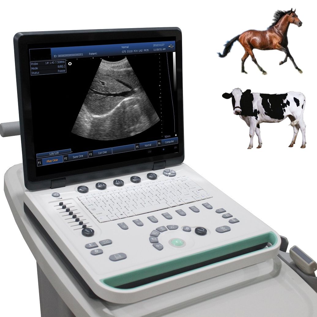 الموجات فوق الصوتية الماسح الضوئي الحيوان 3d برنامج أبيض وأسود 15in Lcd مع أي نظام الكمبيوتر اثنين التحقيق 2021 من Undefined 10 097 25ر س موبايل Dhgate