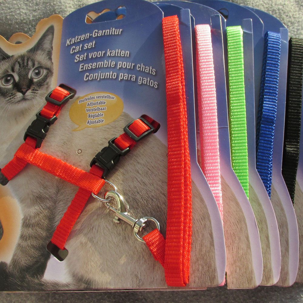 Acheter Pas Cher Harnais De Chat Avec Laisse Harnais Et Laisse En Nylon Danimal Familier De Chat Melangent Des Couleurs Du 17 15 Fr Dhgate
