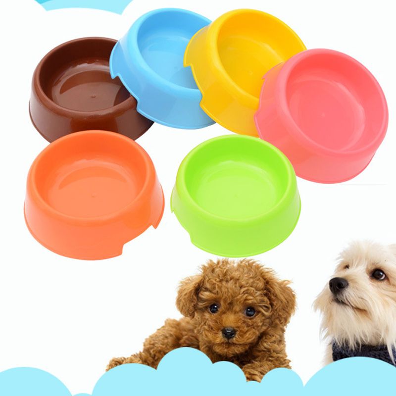 plastic dog food bowls