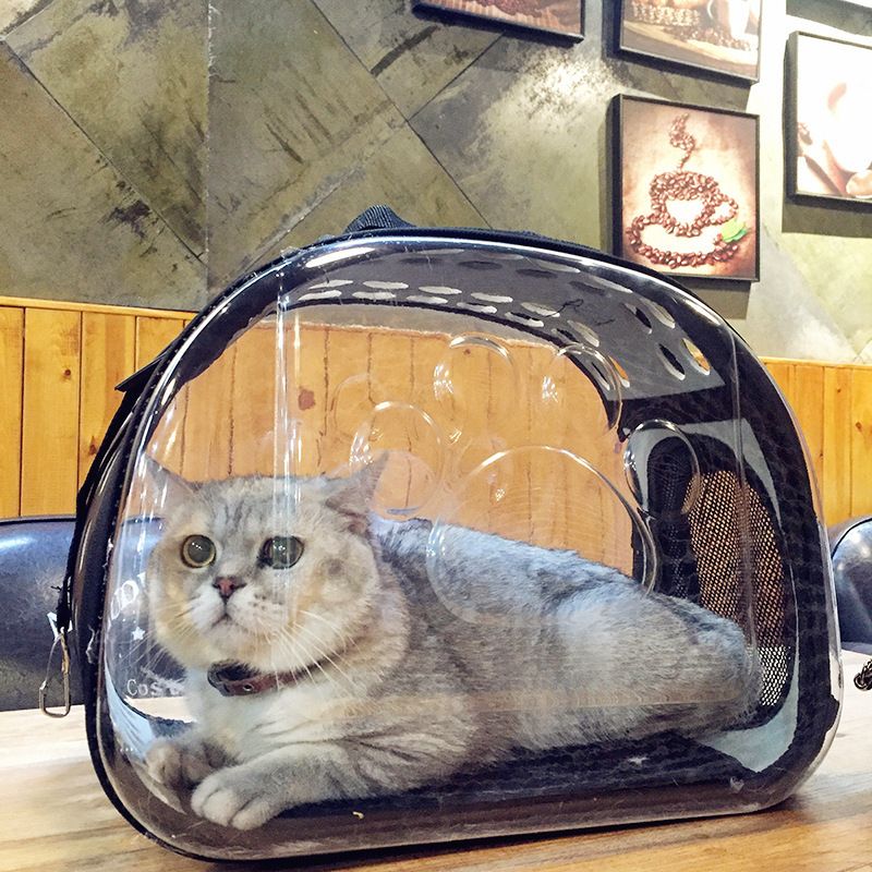 transparent cat bag