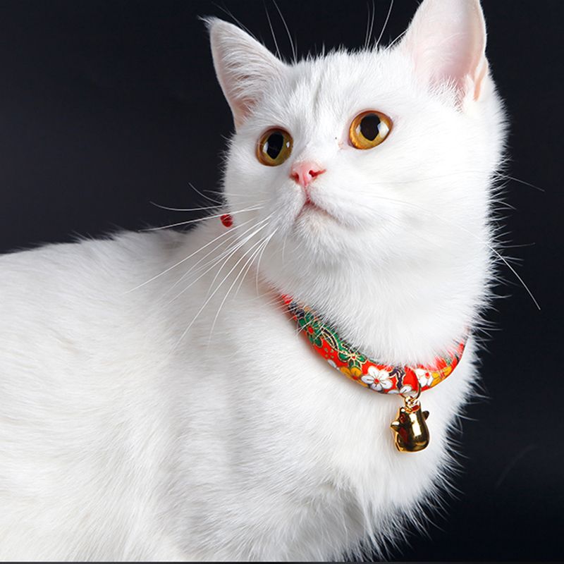 human cat collar with bell