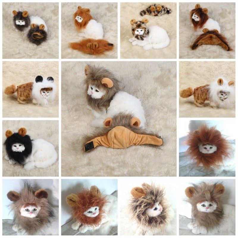 Grosshandel Universal Haustier Kopfbedeckungen Lustige Lowen Hunde Katzen Mahne Perucke Cartoon Schone Ungiftig Welpen Kopf Hute Heisser Verkauf 13 5bb