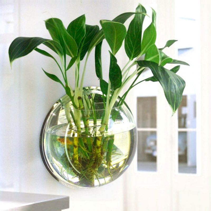 Pot Plant Wall Mounted Hanging Aquarium Transparent Acrylic Fish Bowl