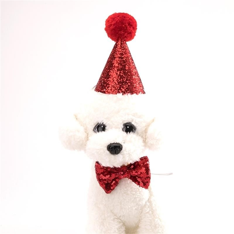 Acheter 100 Artisanal Chien Fete Danniversaire Tenue Animal Chapeau Animal De Compagnie Anniversaire Chapeau Chien Vetements Chapeau Chien Costume Chat De 2 6 Du Petbailey Fr Dhgate Com
