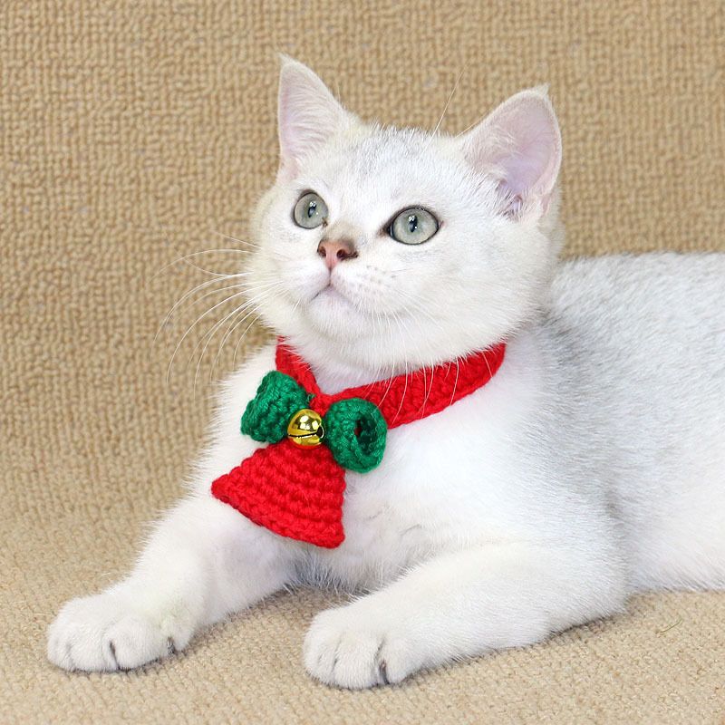 Cat collar christmas Clearance
