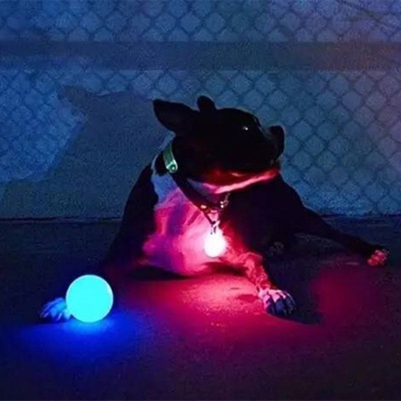 juguetes divertidos para perros