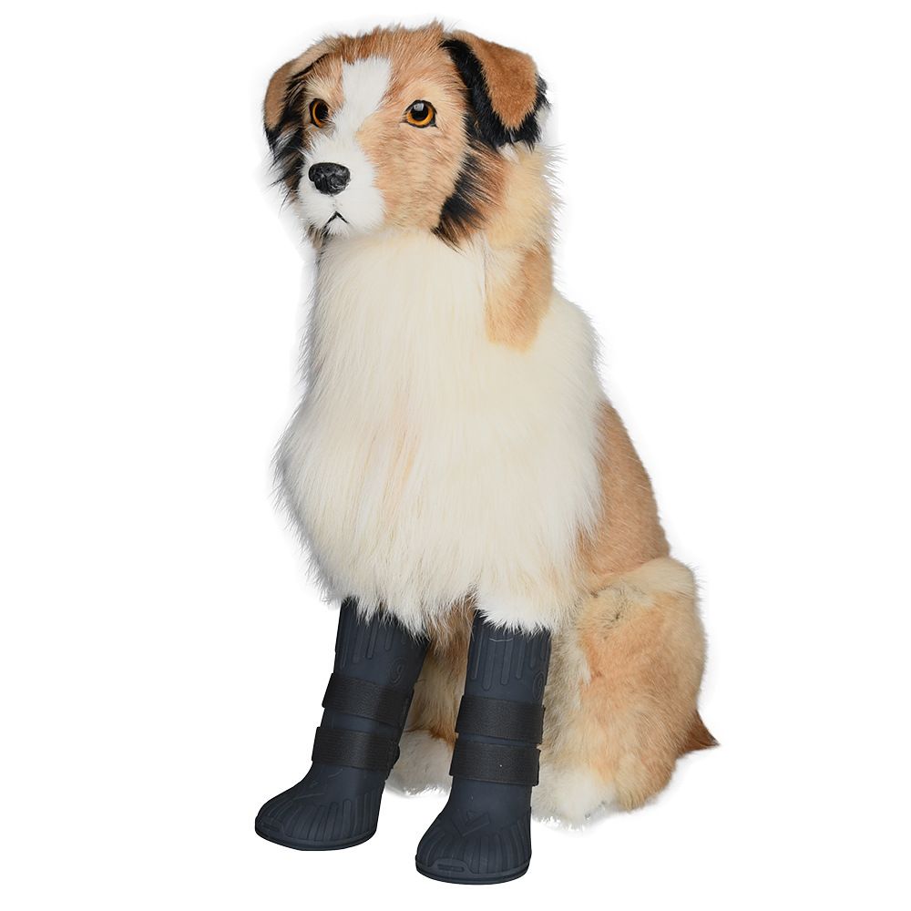 ▷ Proteger a tu PERRO de la Lluvia: Claves y Accesorios