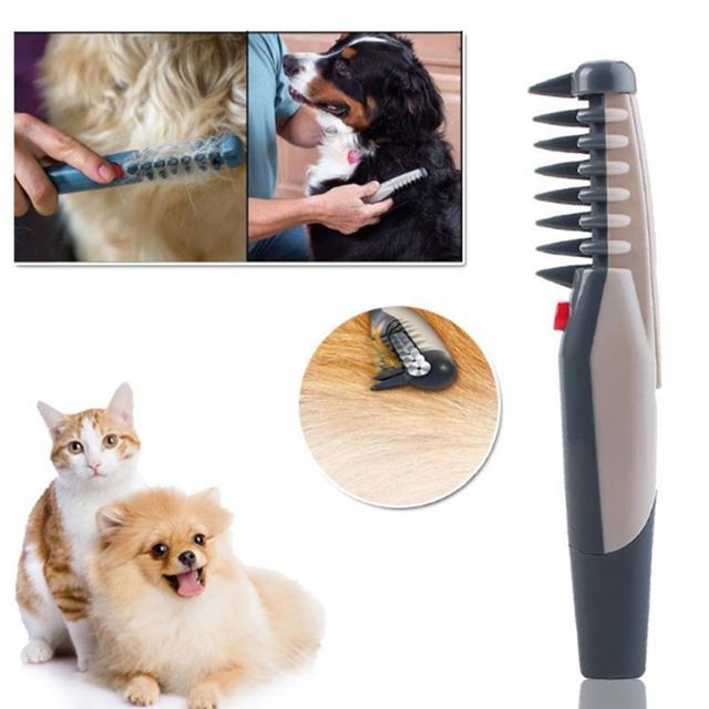 cat hair cutter