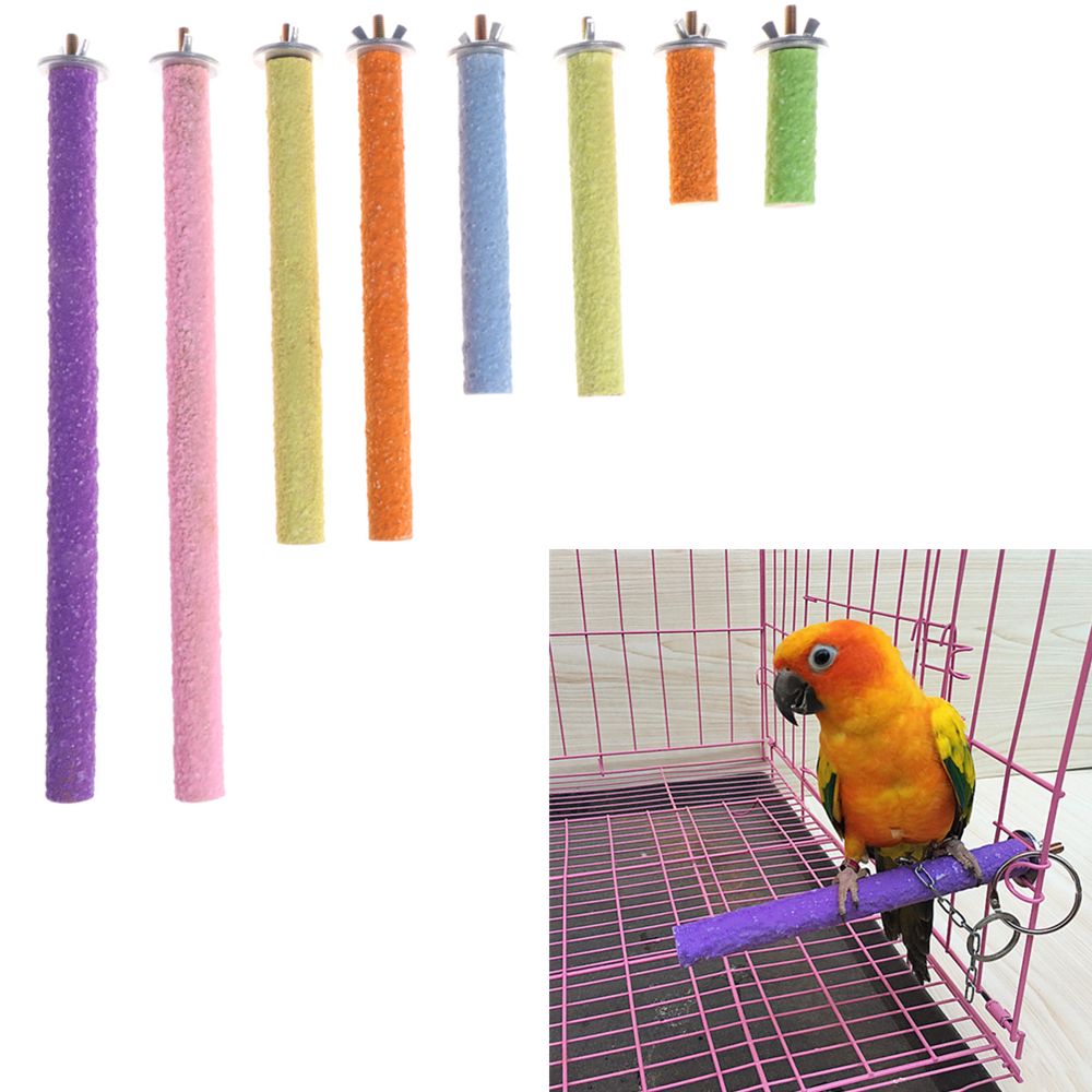 parrot perch stand