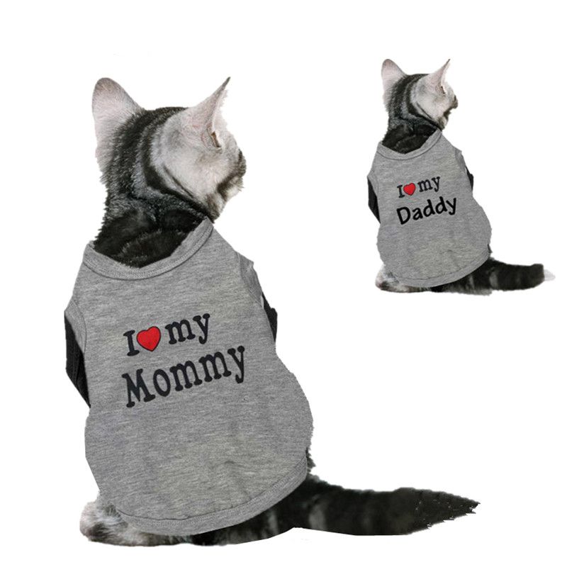 kitten clothes