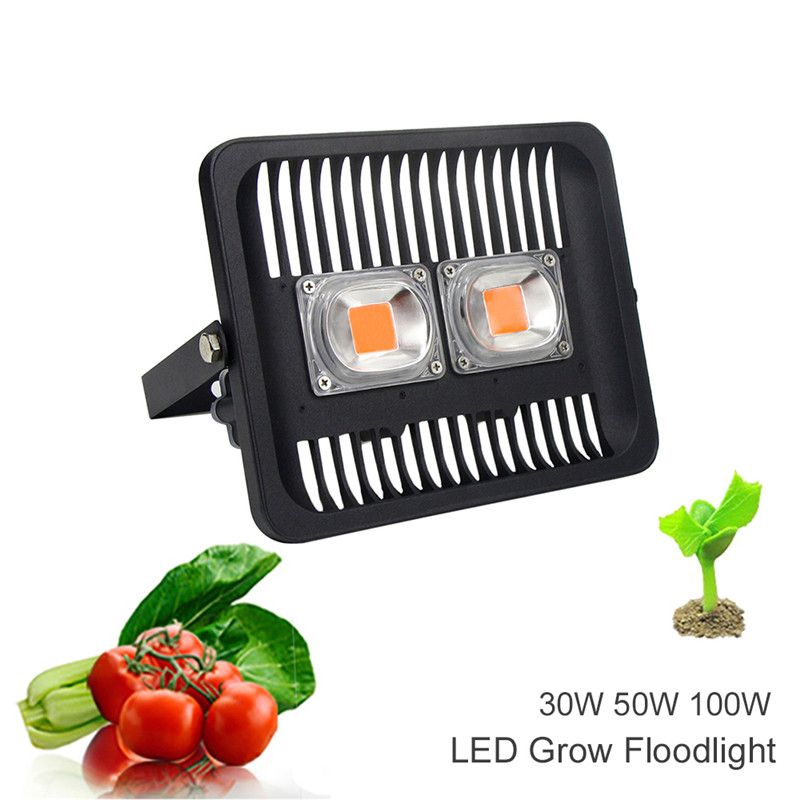 Led Grow Flood Light Outdoor 30W 50W 100W 220V Waterproof High Power