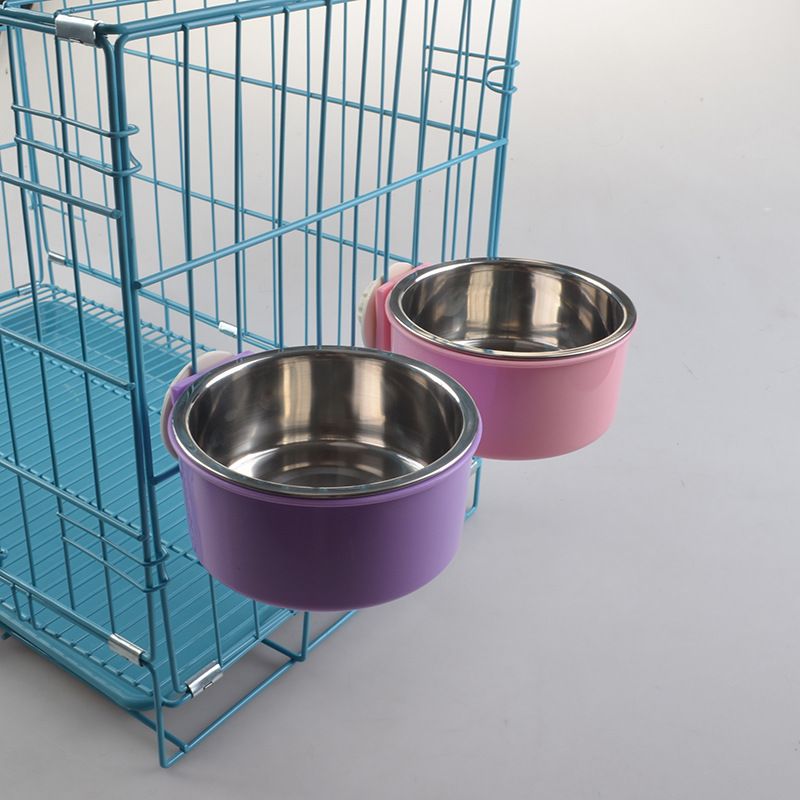 small dog water bowl