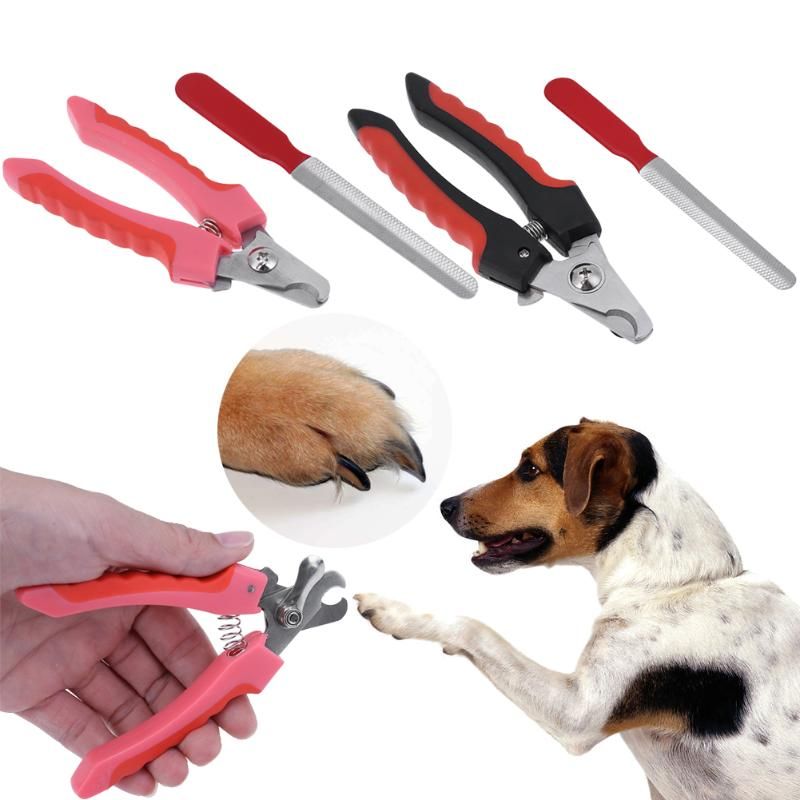 professional dog grooming nail clippers