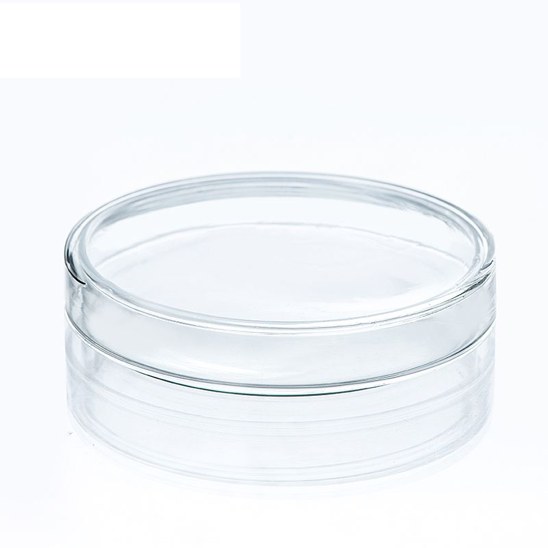 2020 60mm Glass Petri Dish Borosilicate Glass Clear And Smooth With