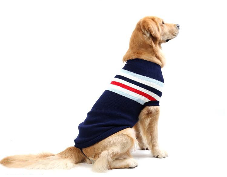 dachshund clothes for dogs