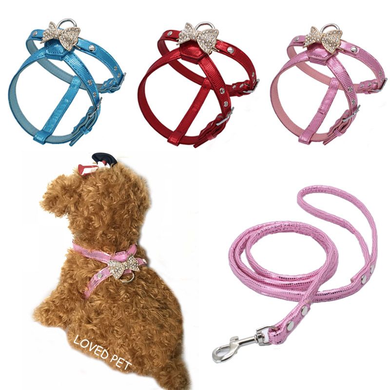 dog collars and harnesses for small dogs