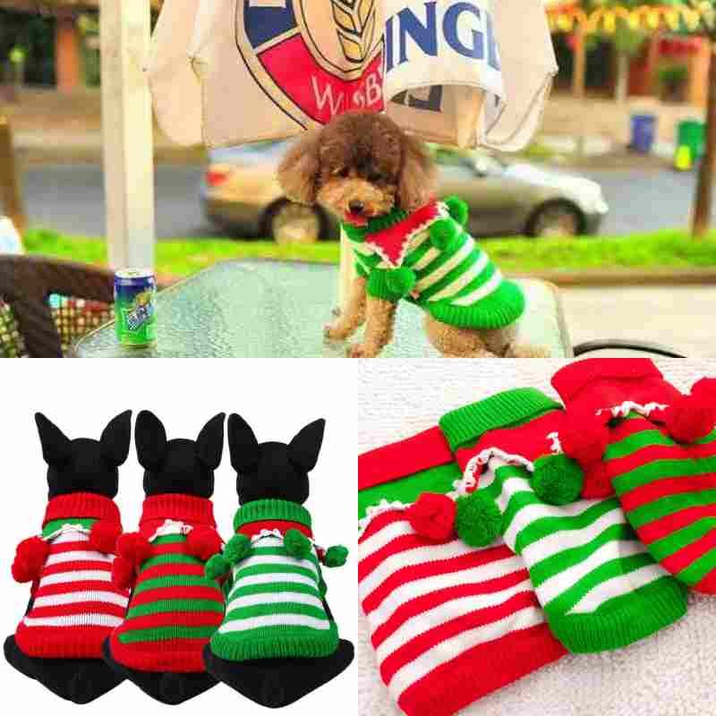 green dog christmas sweater