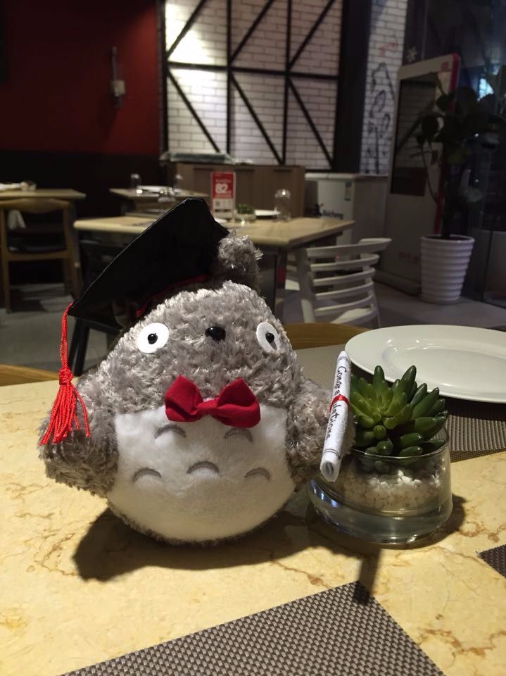 totoro graduation plush