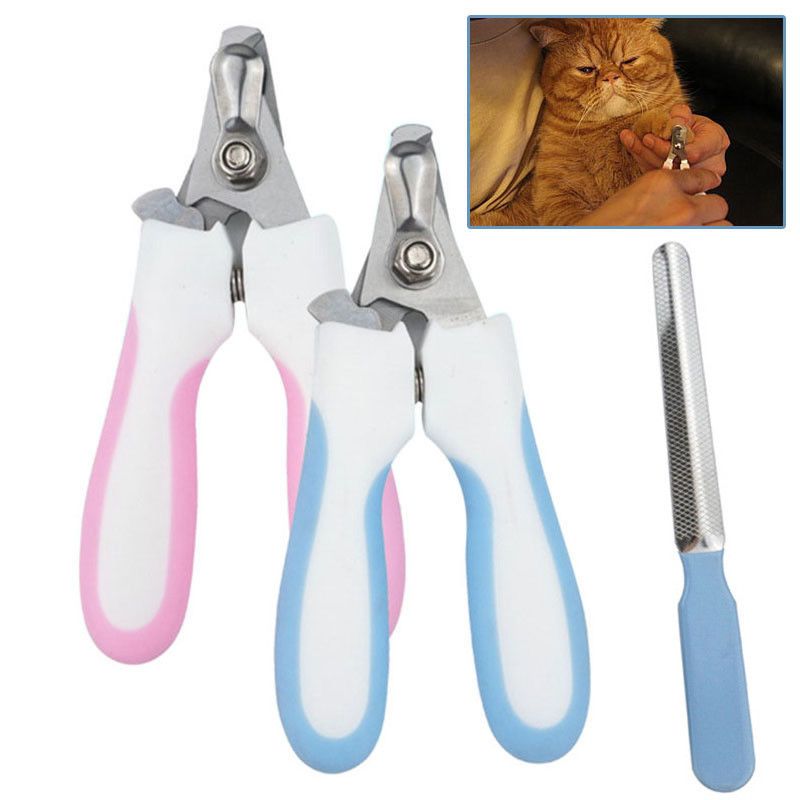 paw clippers