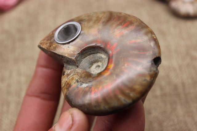 1pcs Free Shipping NATURAL ammonite RAINBOW FOSSIL Smoking Pipe for tobacco 