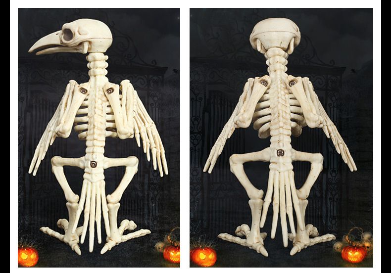 plastic skeleton toys