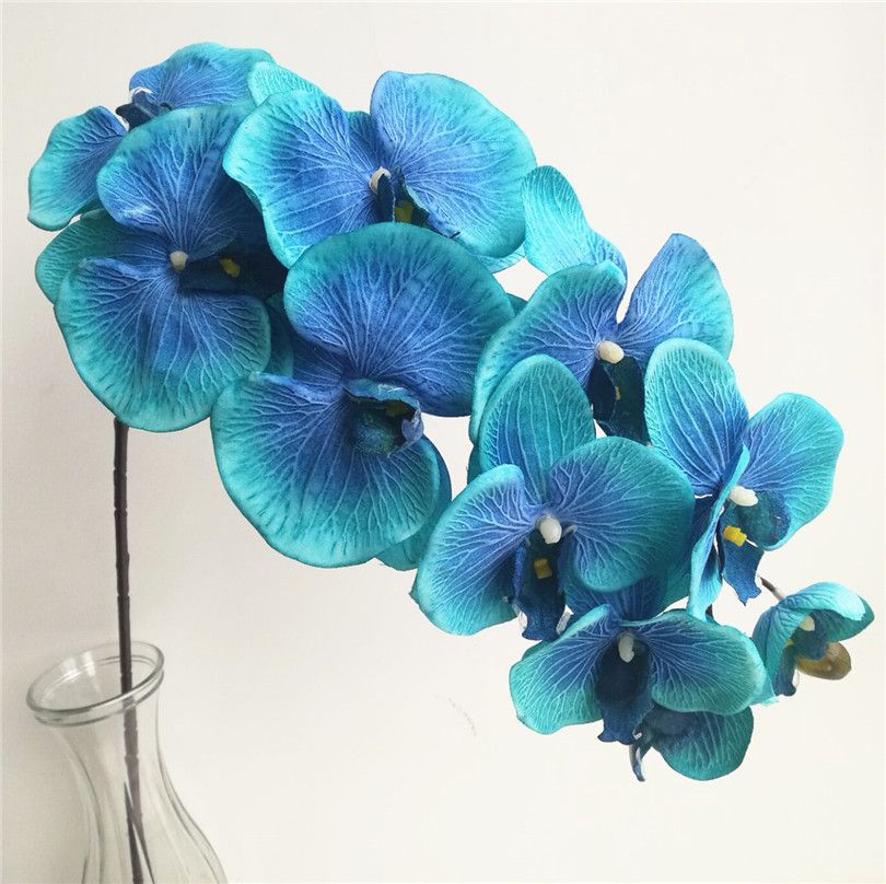 Orchidée de couleur bleue