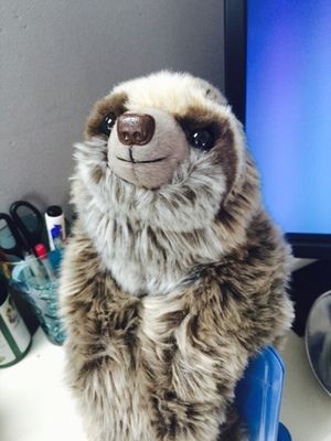 soft sloth stuffed animal