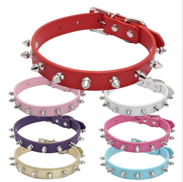 cool puppy collars