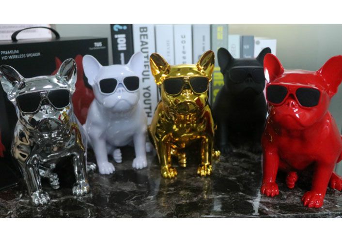 aerobull speaker xs1