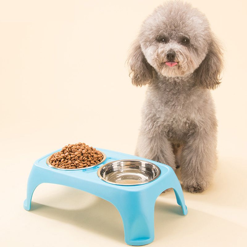 high dog bowls