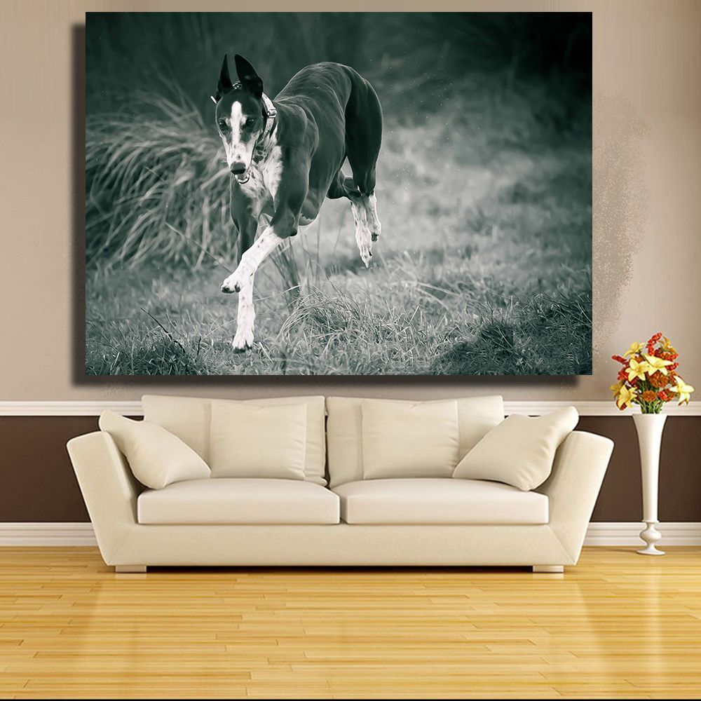 2020 Wall Art Black And White Greyhound Running Animal Oil Painting On Canvas Wall Painting Picture For Living Room No Framed From Jonemark2014 23 57 Dhgate Com