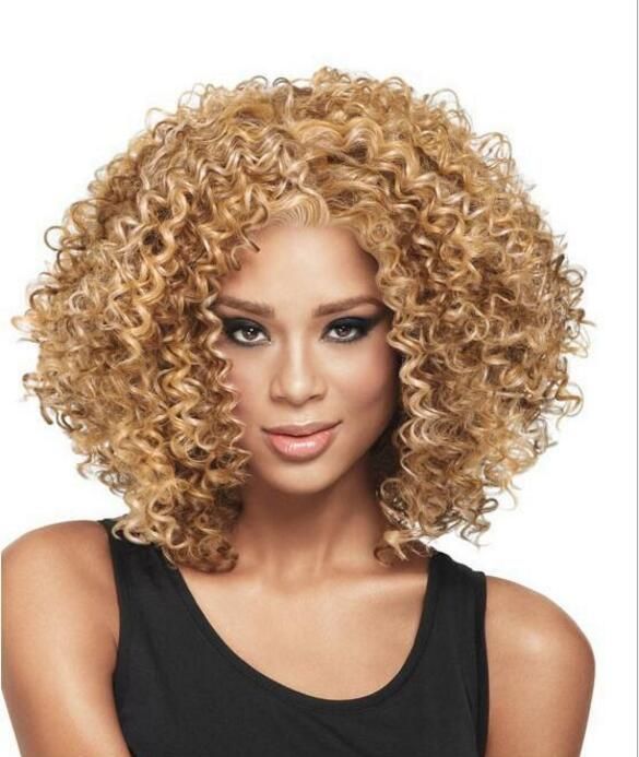 Fashion Africa Curly Hair Wig Girl Lady Synthetic Explosive Head