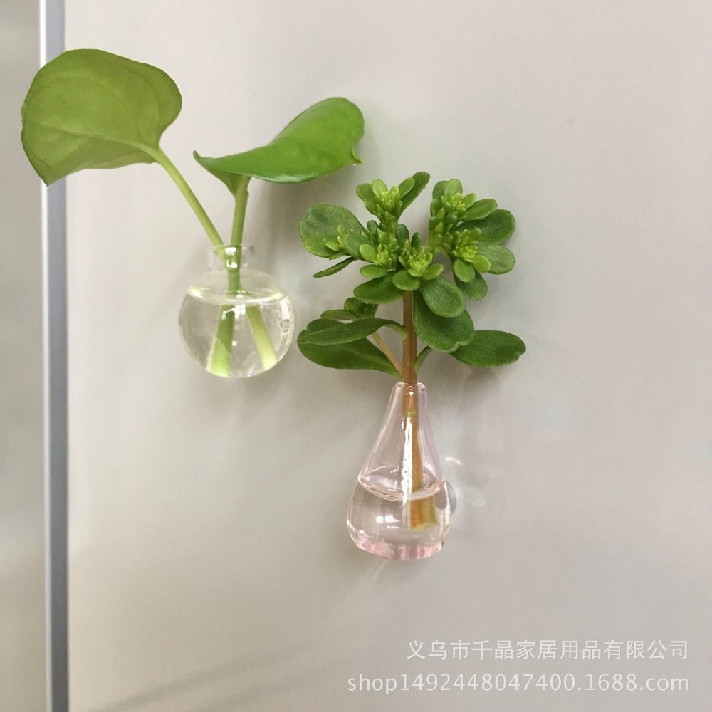 Grosshandel 5 Stucke China Keramik Mini Vase Kuhlschrankmagnete Diy Porzellan Vase Kuhlschrank Aufkleber Grune Pflanze Container Auf Kuhlschrank Von Dh Home Garden 11 01 Auf De Dhgate Com Dhgate