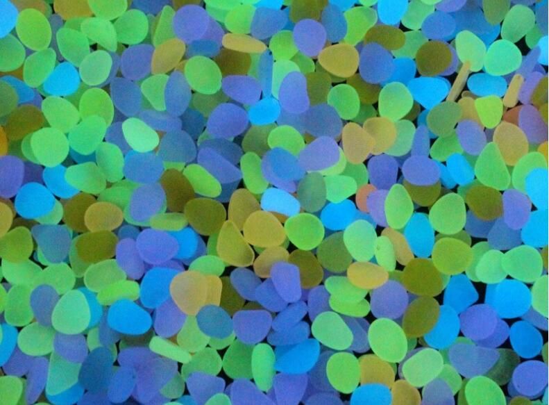 wholesale aquarium near me