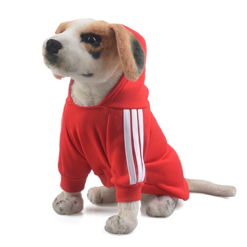 chiefs dog sweater