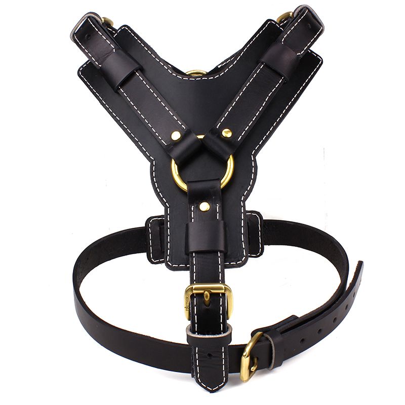 buckle dog harness