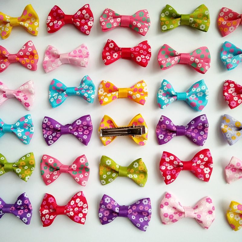 dog hair clips bows
