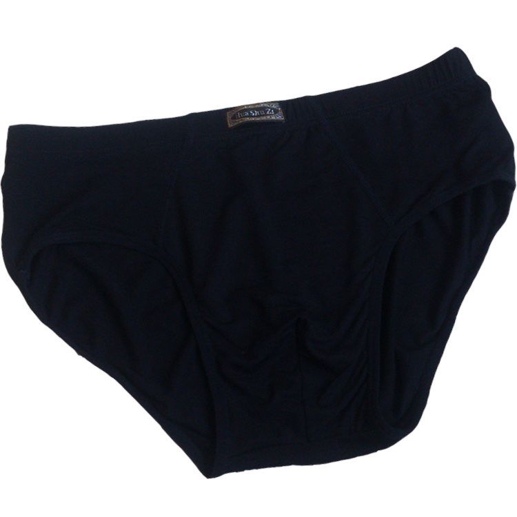 mens high waisted swim briefs